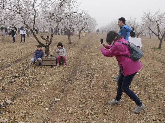 Children pose for pictures among almond trees in bloom in Arbeca on February 16, 2020 (by Anna Berga)